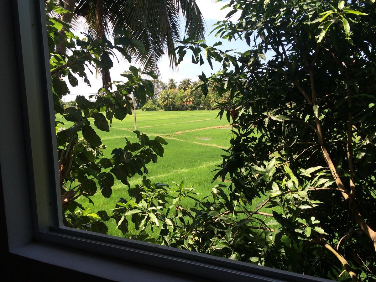 Hotel View Point Tissamaharama Ngoại thất bức ảnh