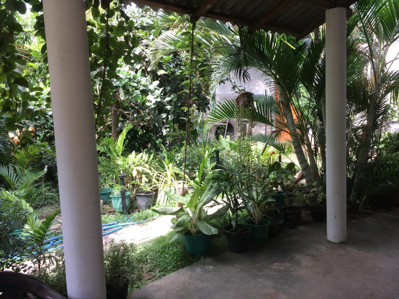 Hotel View Point Tissamaharama Ngoại thất bức ảnh