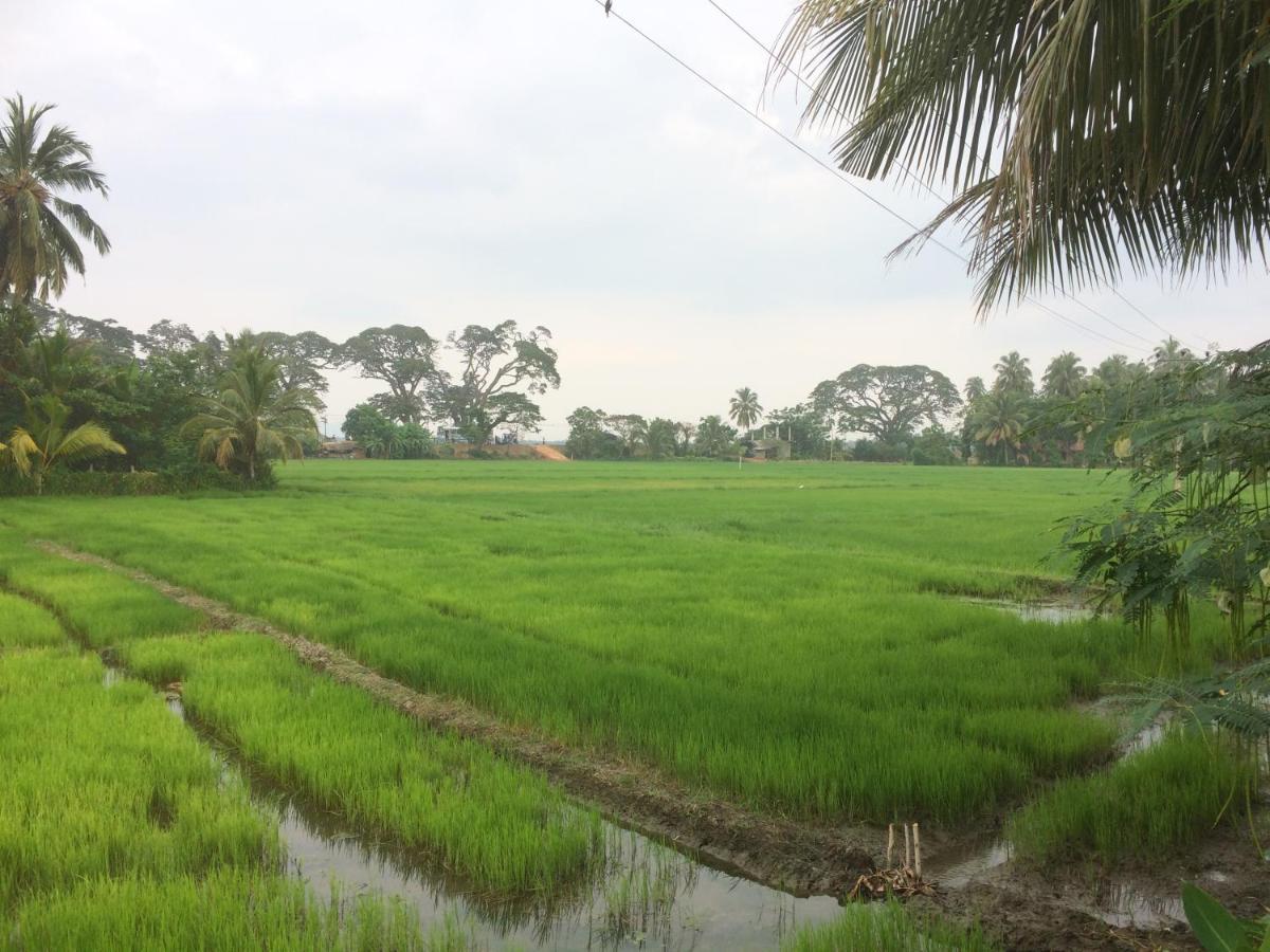 Hotel View Point Tissamaharama Phòng bức ảnh