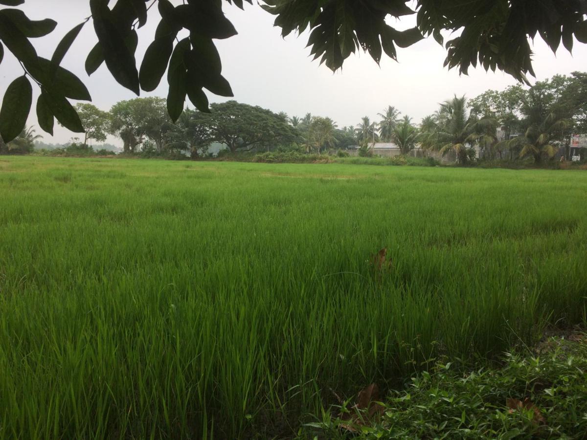 Hotel View Point Tissamaharama Phòng bức ảnh